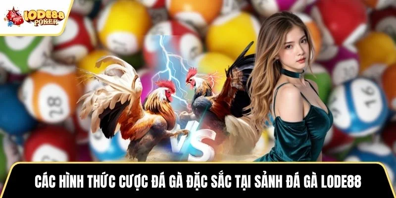 Các hình thức cược đá gà đặc sắc tại sảnh đá gà LODE88