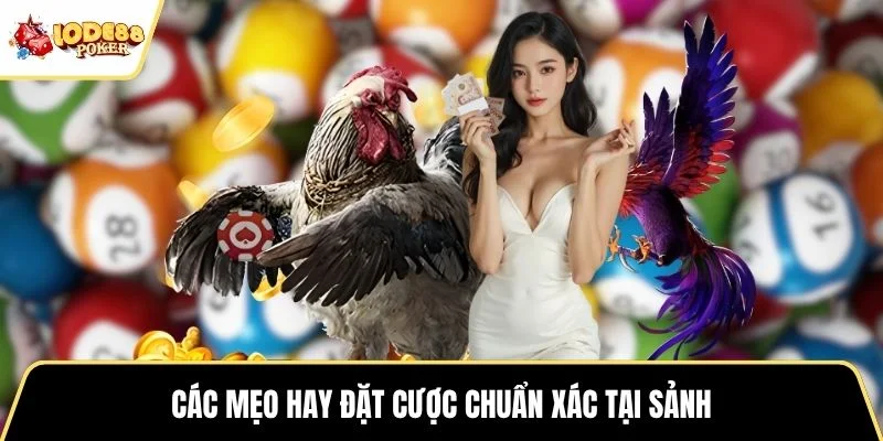 Các mẹo hay đặt cược chuẩn xác tại sảnh