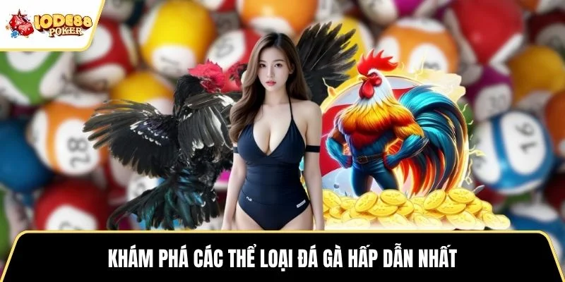 Khám phá các thể loại đá gà hấp dẫn nhất