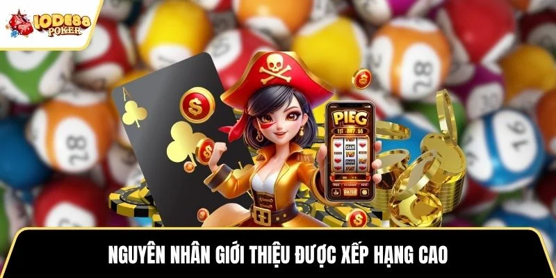 Nguyên nhân giới thiệu được xếp hạng cao