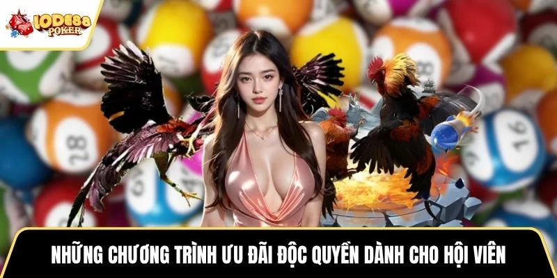 Những chương trình ưu đãi độc quyền dành cho hội viên