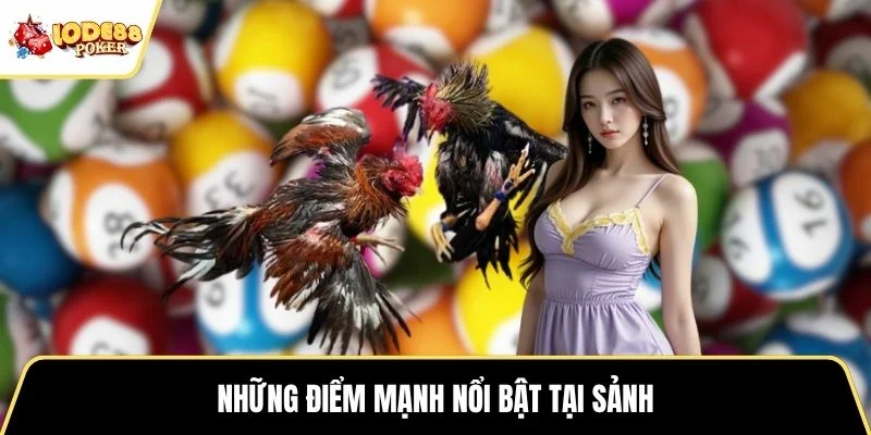 Những điểm mạnh nổi bật tại sảnh
